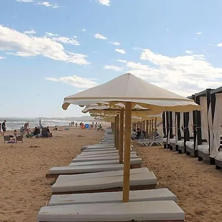 Marina Elche